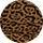 Load image into Gallery viewer, POWER SHOULDER BODY | CARAMEL LEOPARD001
